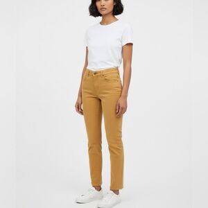 dressbarn Women's Mustard Skinny Jeans